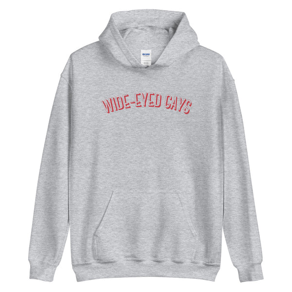 Wide-Eyed Gays Hoodie